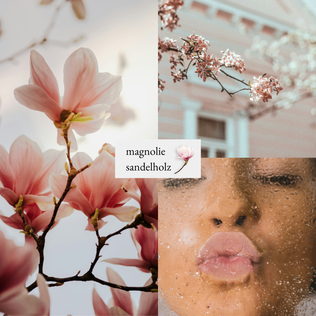 Bildcollage zur Visualisierung der Duftrichtung Magnolie Sandelholz. Abbildung zwei verschiedener Magnolienblütenäste und einer Frau mit Kussmund